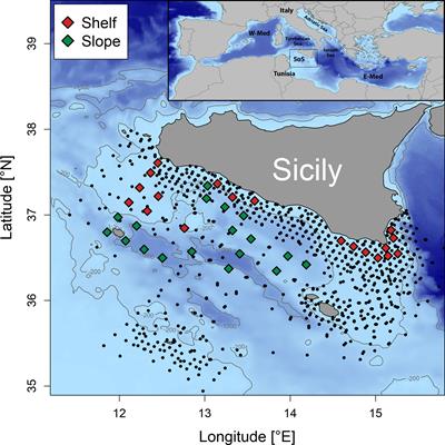Interannual summer biodiversity changes in ichthyoplankton assemblages of the Strait of Sicily (Central Mediterranean) over the period 2001–2016
